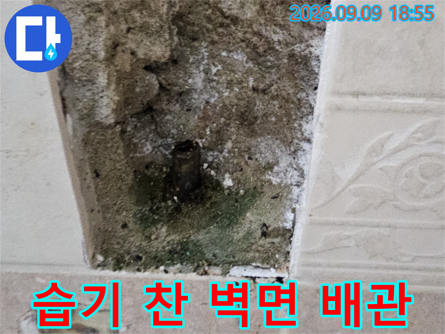 욕실 타일 안쪽의 습기와 곰팡이가 발생한 배관 부위