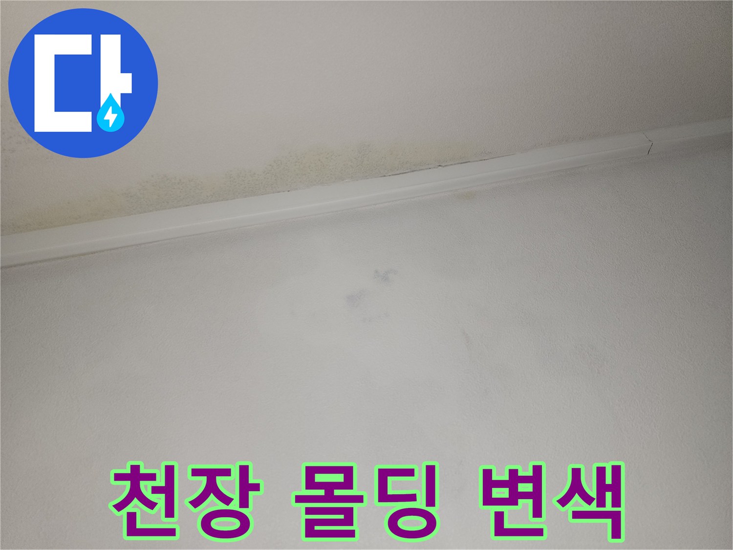 천장-몰딩-주변의-젖은-벽지-및-오염-상태-사진