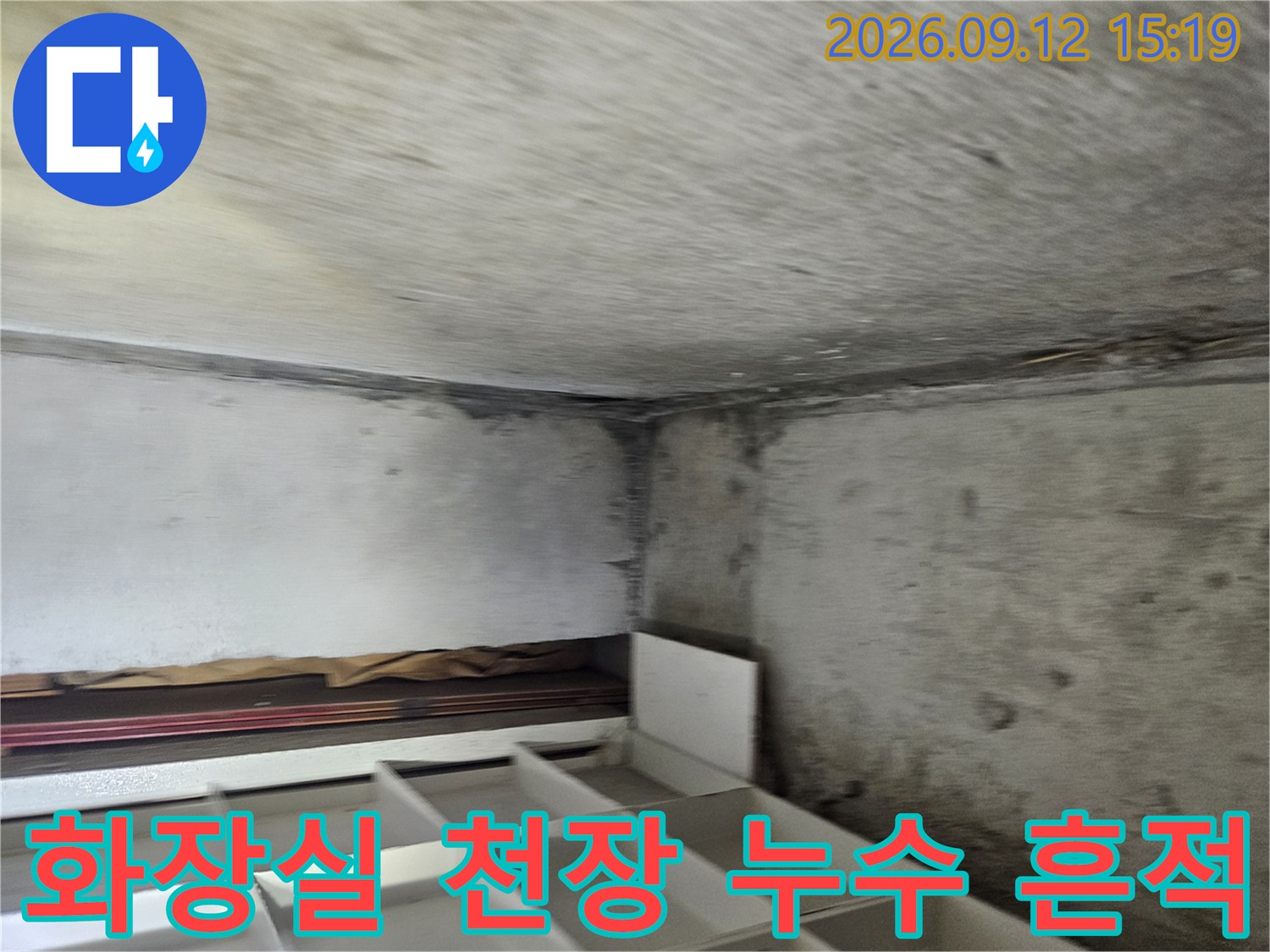 고양시 일산동구 장항동-화장실 천장 내부의 젖은 얼룩과 곰팡이 흔적