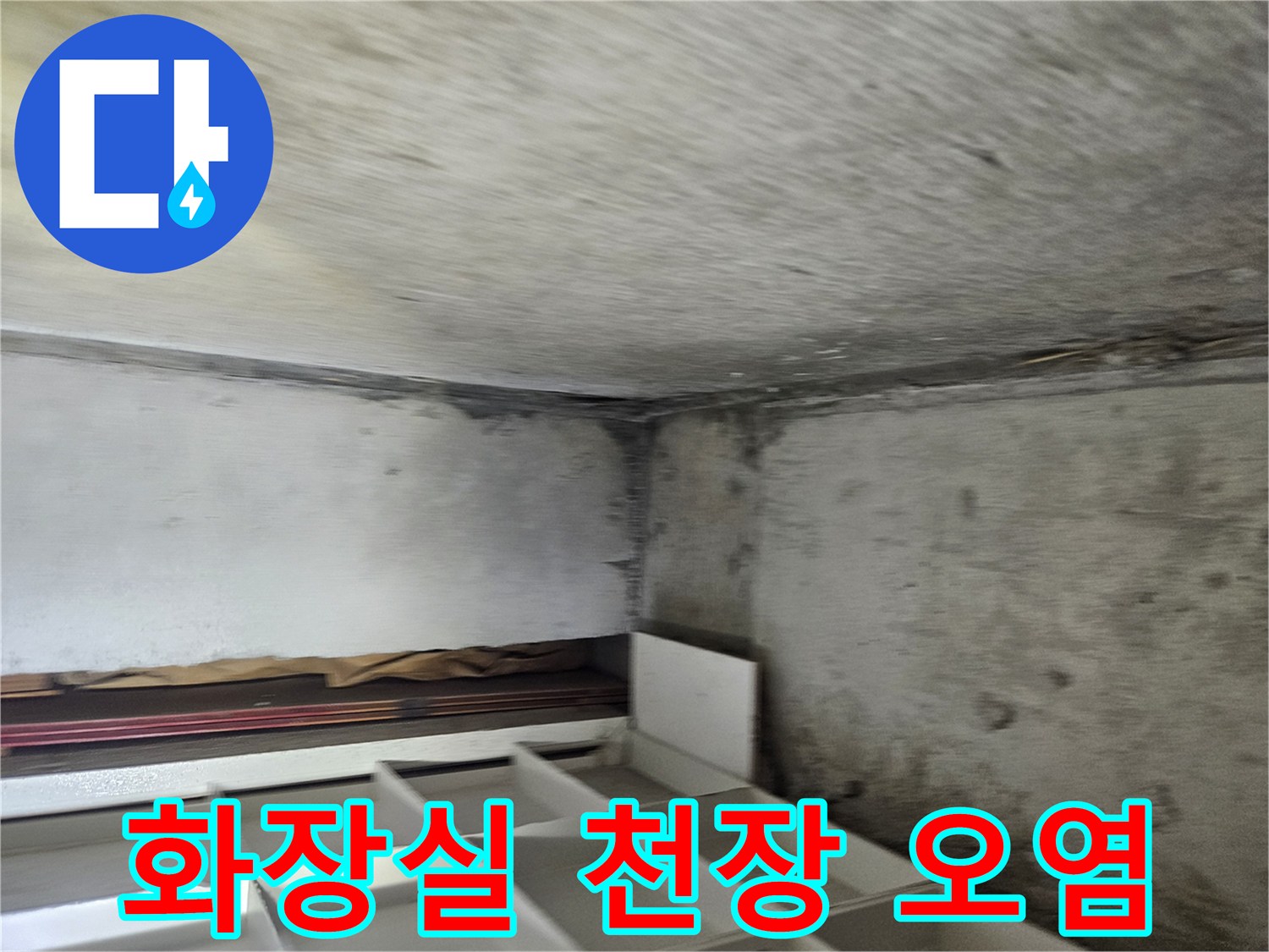 일산동구-화장실-천장-배관-주변-습기-및-콘크리트-오염-상태