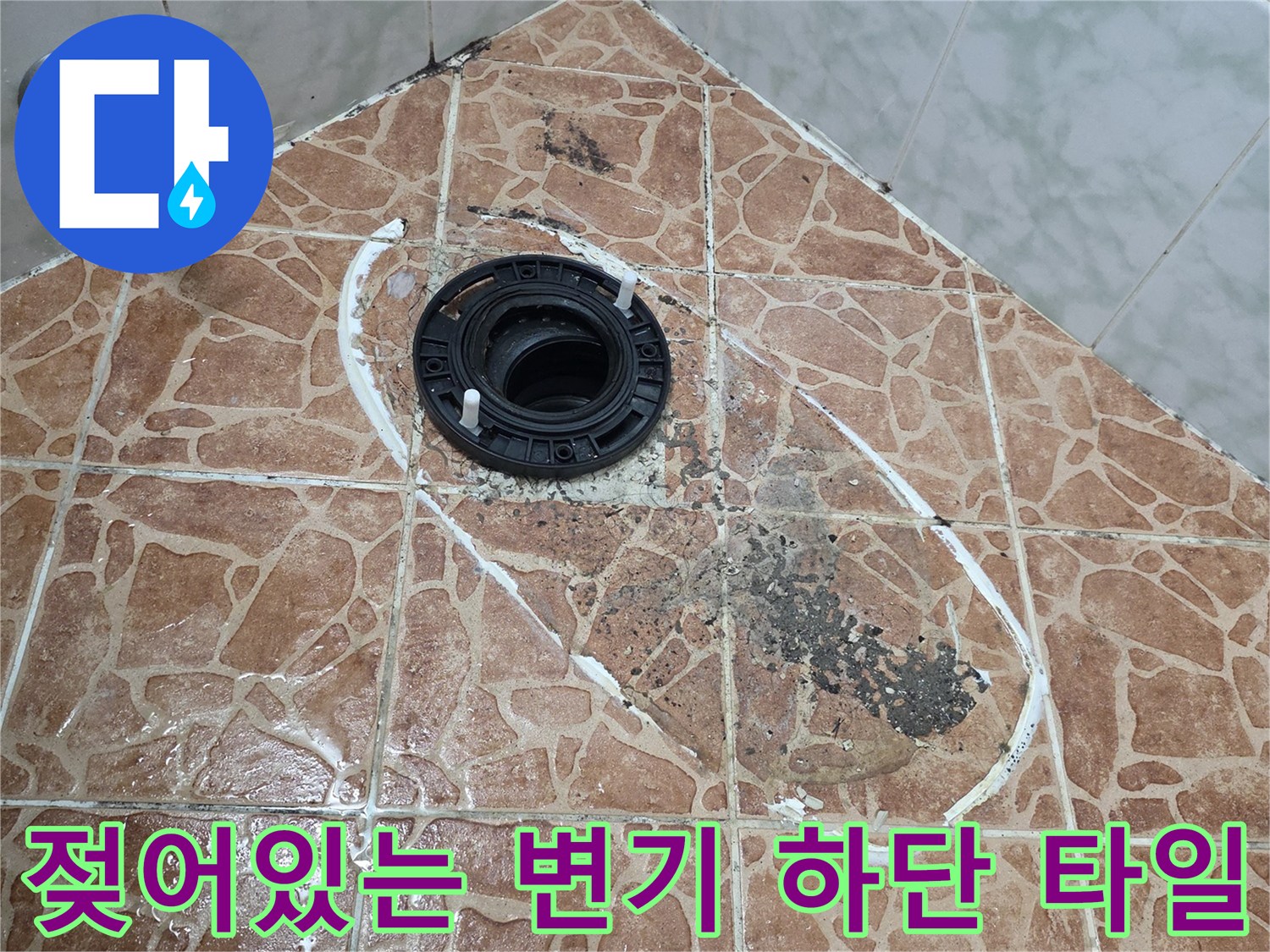 배수구 주변 타일의 습기 머금은 모습과 오염된 부위