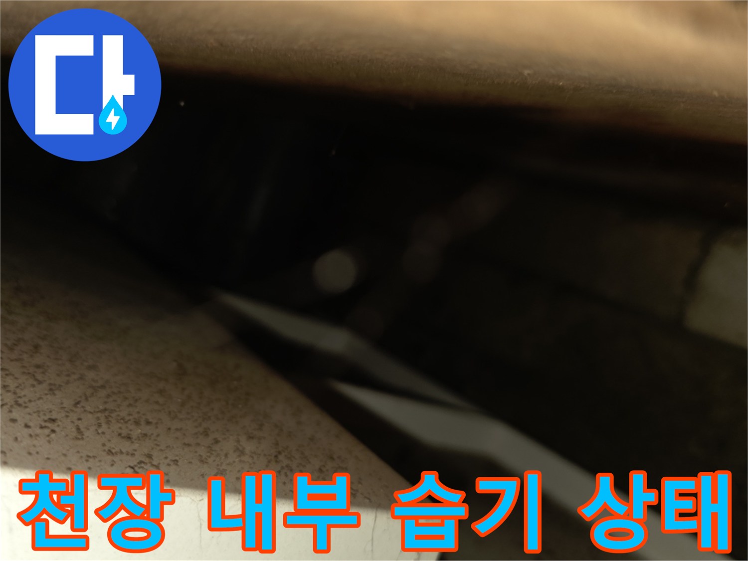 서초구 양재동 현장의 천장 텍스 사이로 보이는 배관 주변 습기