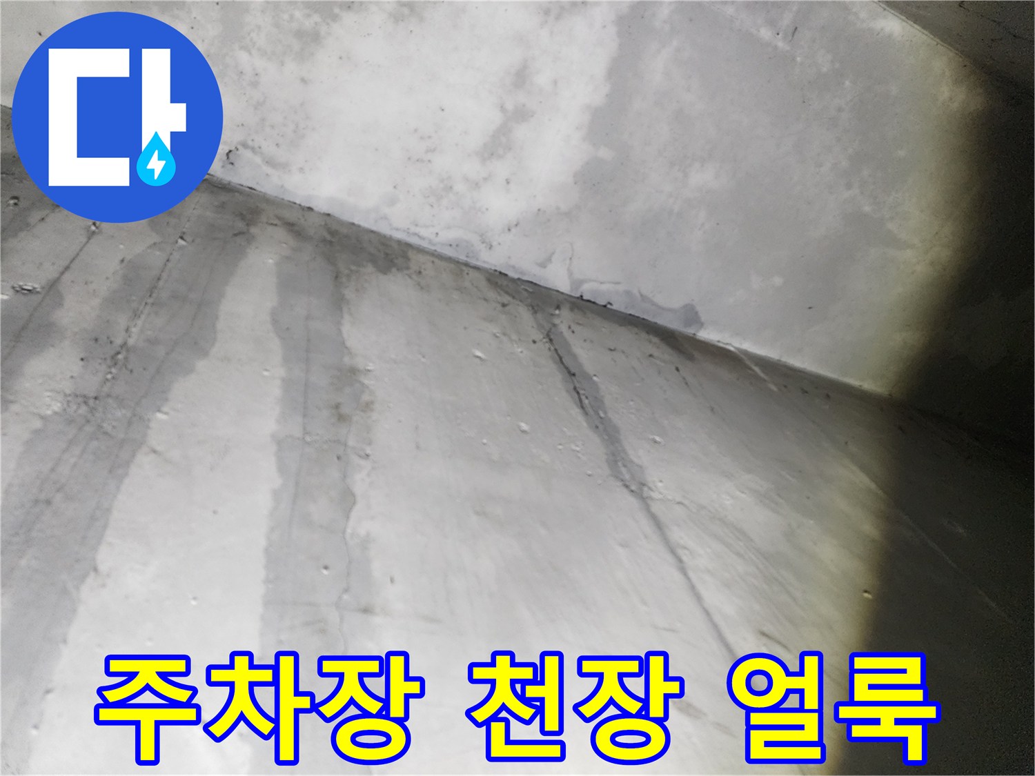 지하 주차장 콘크리트 천장에 발생한 넓은 누수 흔적과 습기 자국